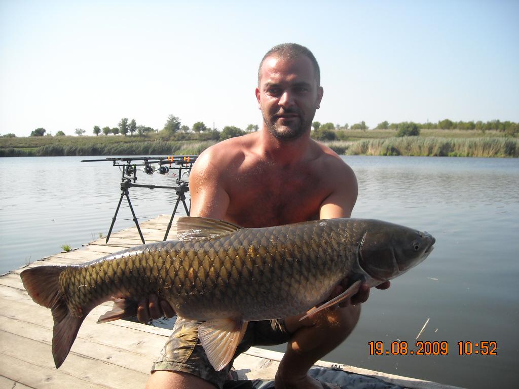 Concursuri - 2009 - dscn0628.jpg